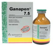 Imagen del producto 2
